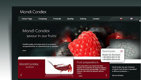 Mondi Condex